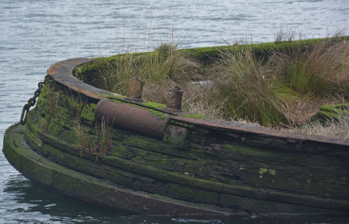 The Mary D. Hume Shipwreck